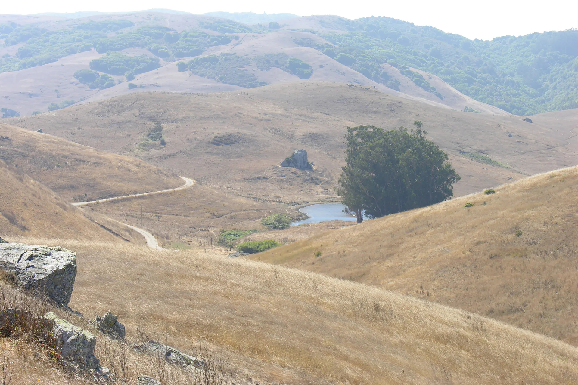 Garzoli Ranch — 605-acre Chileno Valley working ranch, Petaluma