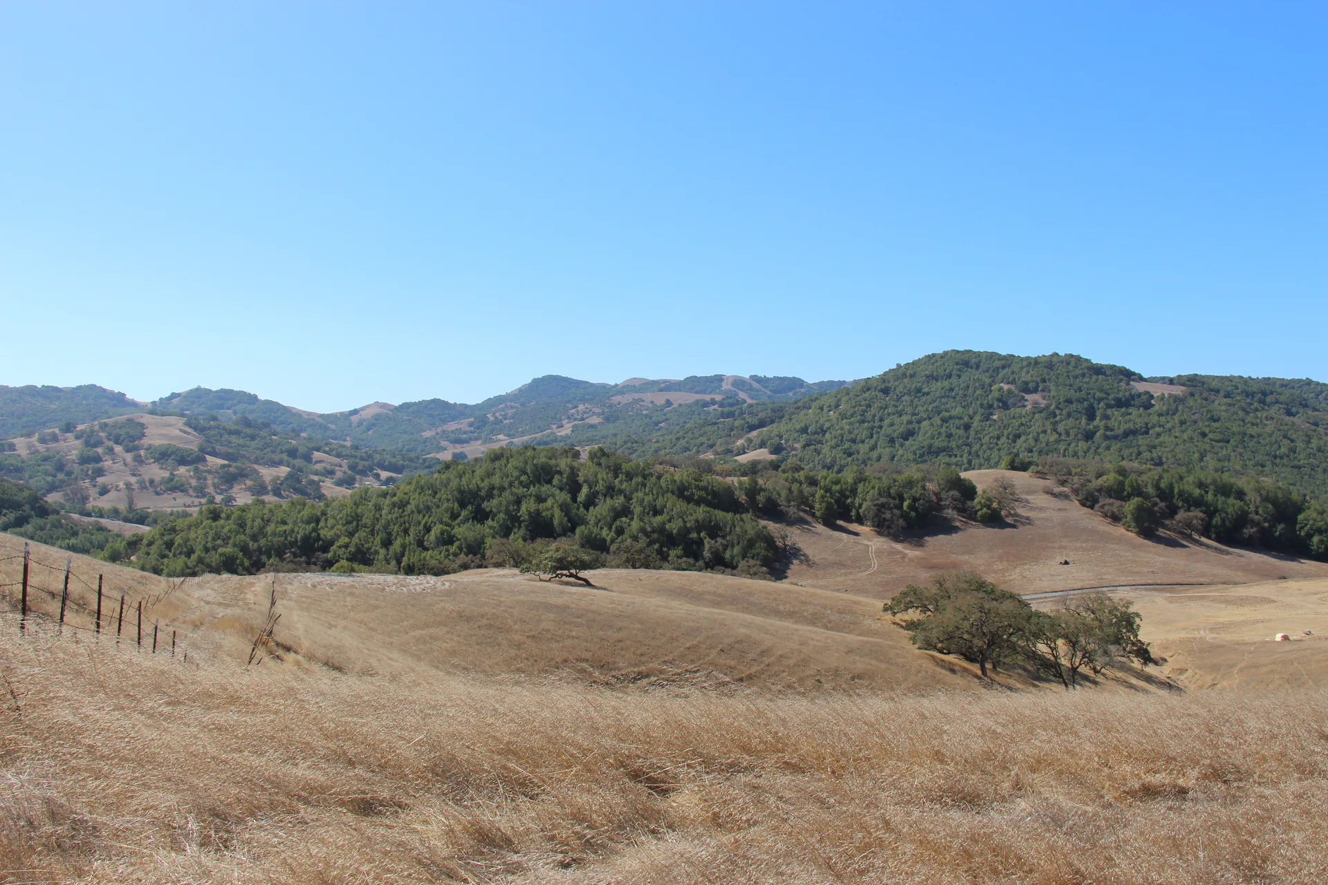 Pacheco Ranch — 238-acre San Antonio Road ranch, Petaluma