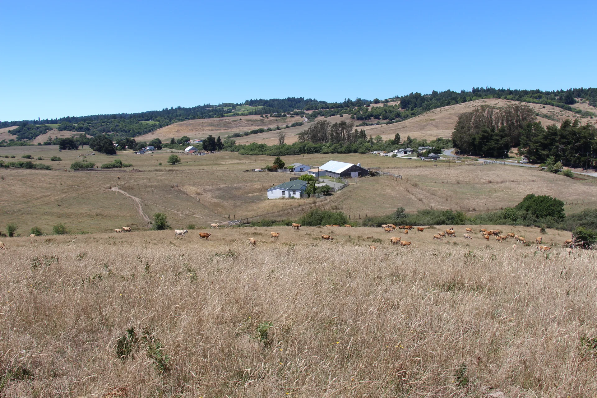 Silvestri Ranch — 310-acre ranch at 305 Valley Ford Freestone Rd., Valley Ford