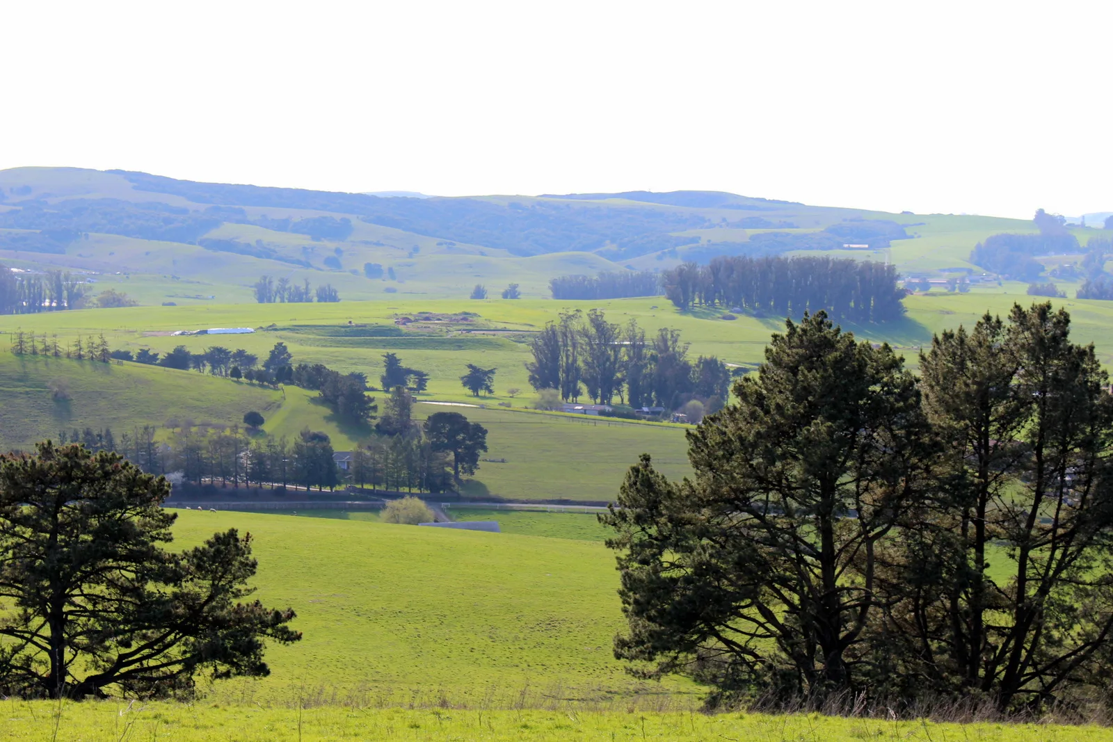 Two Rock View Ranch — 25-acre ranch at 5853 Bodega Ave., Petaluma