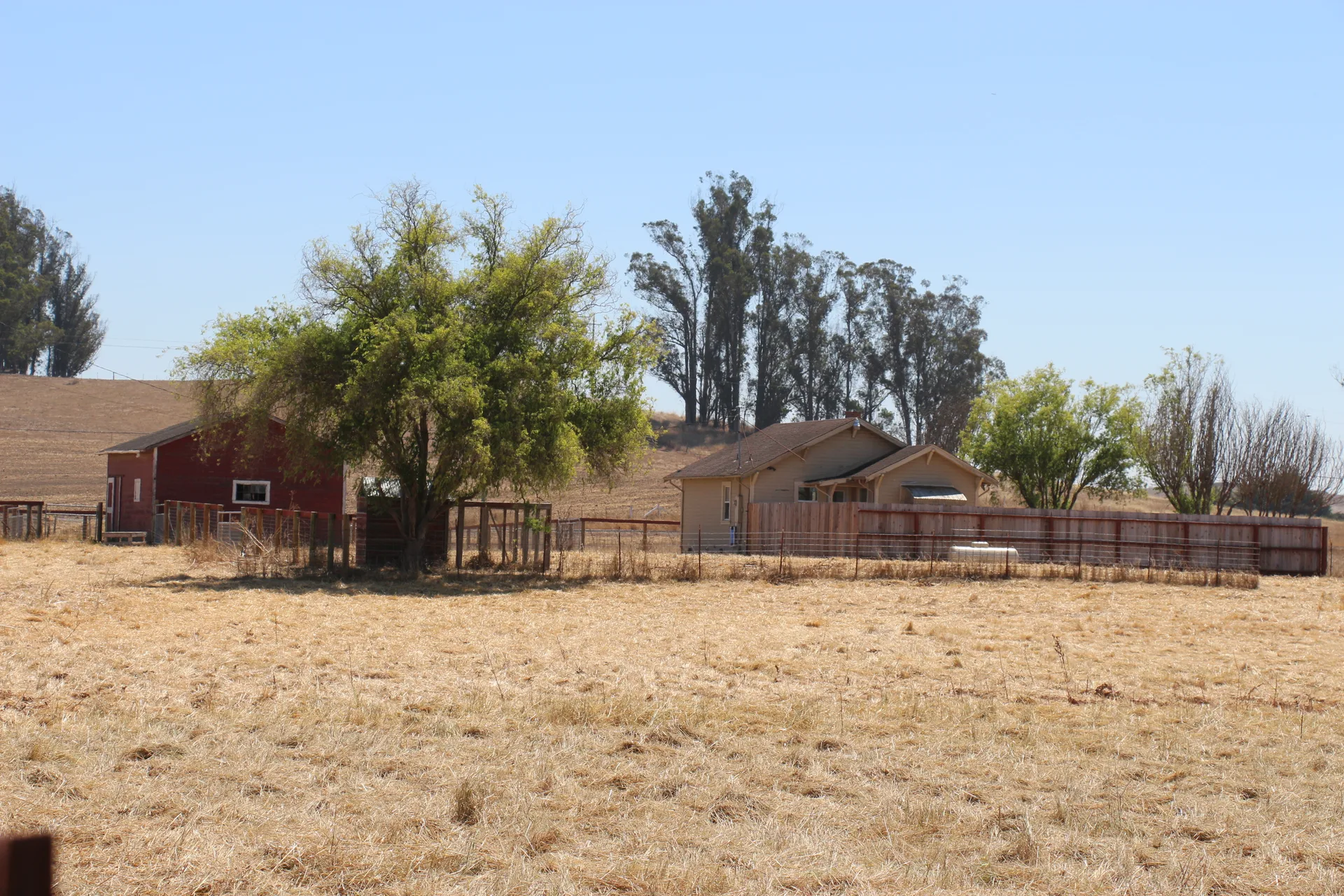 Valley Ford & Fallon Ranch — 45-acre ranch at 7700 Valley Ford Rd., Petaluma
