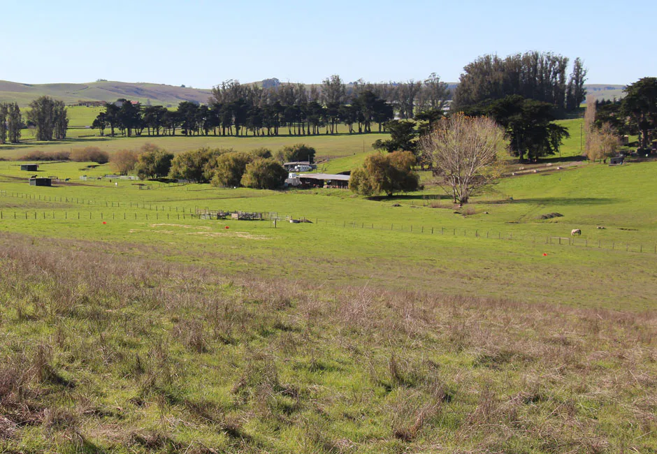 Green Willow Ranch — 99-acre Petaluma ranch property